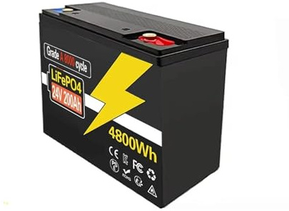 Batterie au Lithium LiFePo4 24 V 100-220 Ah avec BMS intégré de 200 A for Applications solaires, Marines, terrestres et Hors réseau.(24V 200Ah)