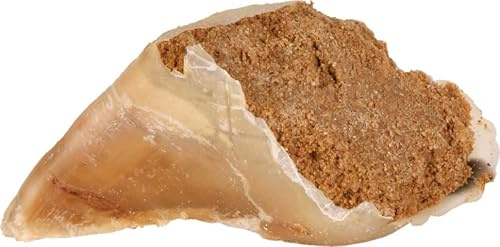 Trixie Kauhuf mit Fleischfüllung, 115 g, 25 Stück