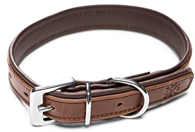 Echtes Leder Hunde Halsband - verstellbares K-9 Hundehalsband gepolstert und zusätzlich verstärkt aus zweilagigen Büffelleder Pete (XL (44.0-54.0cm))