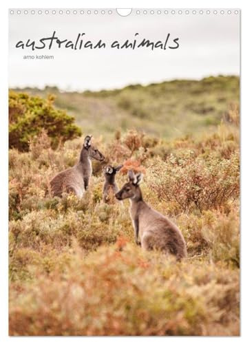 australian animals (Wandkalender 2026 DIN A3 hoch), CALVENDO Monatskalender: Die Tierwelt Australiens (CALVENDO Tiere)