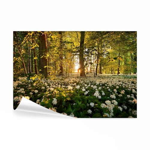 decomonkey Fototapete Wald Natur, 350x256 cm, XXL, Blumen, Tapete, Wandbild | Bild, Fototapeten, Tapeten, Wandtapete, Wandtapeten