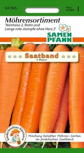SAMEN PFANN® Möhrensortiment, Saatband - Gemüse-Samen Möhren-Samen Saatgut Samen (Daucus carota)