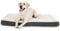 Bedsure Très grand matelas pour chien lavable - Oreiller orthopédique et matelas pour panier de chien avec housse amovible en peluche Sherpa, blanc, 112 x 81 x 7,6 cm