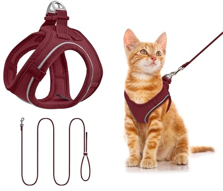 Qianruida Imbracatura per Cani Taglia Piccola Pettorina Regolabile Riflettente per Cane Gatti Cuccioli con Guinzaglio per Corsa Passeggiate (XXS, Fucsia)