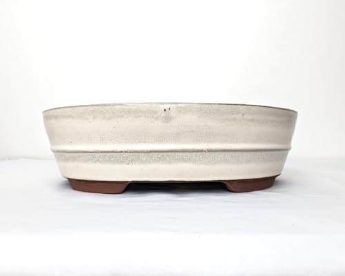 Glazed Ceramic Bonsai Pots without trays (Cream, 26cm)
