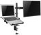 Laptop & Monitor Desk Stand Notebook Desktop Arm Mount Clamp Extension Fully Adjustable Heavy Duty by Allsortsoutlet