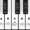 MUYOS Piano Keyboard Stickers for 54/61/88 Keys – Transparent & Removable Piano Keyboard Note Stickers and Piano Key Labels for Kids and Beginners (Black)