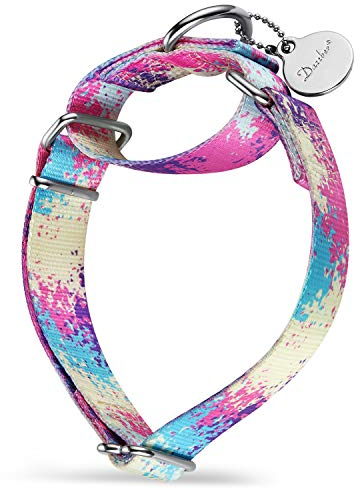 Dazzber Martingale Hundehalsbänder Bunte Ölgemälde Muster Serie - No Pull Haustierhalsband Seidig weich für mittlere und große Hunde (XS Klein, 1,5 cm breit, Überfluss Bunt)