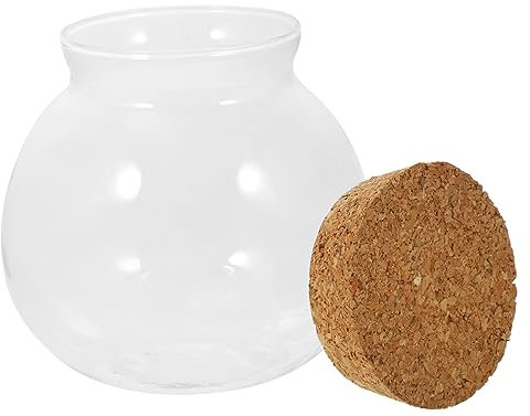 ibasenice Per Bottiglia Per Micro Contenitore Decorativo Per Piante in Bottiglia Trasparente Per Da Te