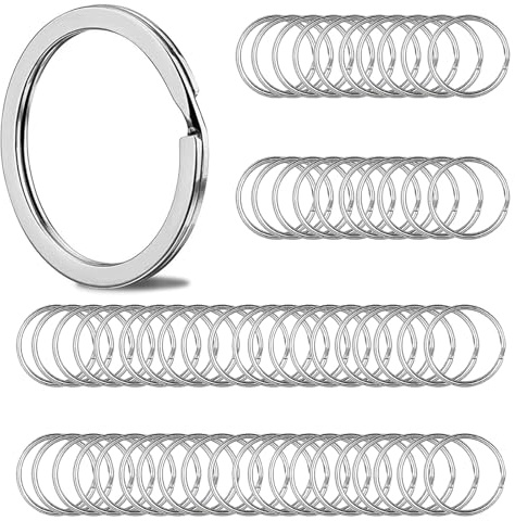 AMSGANK 100 Stück 25mm Schlüsselringe Schlüsselanhänger Kleine Metallringe Schlüssel Ringe Verbindungsstücke für DIY Handwerk Anhänger, Schmuck, Basteln, Ornamente (Silber)