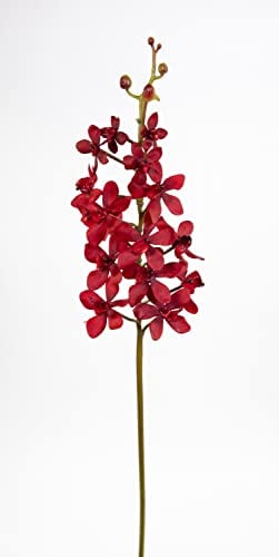 Seidenblumen Roß Orchideenzweig Vanda 70cm Bordeaux CG Kunstblumen künstliche Orchidee Vanda Blumen Pflanzen