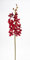 Seidenblumen Roß Orchideenzweig Vanda 70cm Bordeaux CG Kunstblumen künstliche Orchidee Vanda Blumen Pflanzen