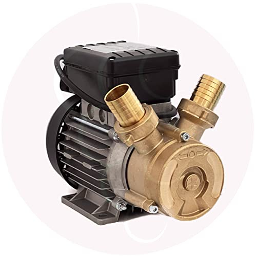 Pompa Travaso liquidi Elettrica autoadescante bisenso Bronzo D. 20 Elettropompa Vino, Acqua, Gasolio, Birra - Liquidi Alimentari - Pompa da giardino - Autoclave - Uso domestico