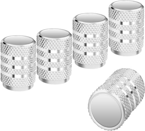 Ruayia Ventilkappen Auto 5 Stück, Autoventil Kappe Alu Metall mit Dichtung für stabilen Reifendruck, Autoventil Kappe Ventilabdeckung Reifenventil-Kappen PKW SUV Motorrad - Sliver