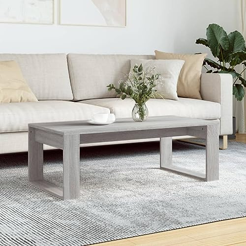 HaoChrymec Couchtisch Grau Sonoma mit Holzwerkstoff, Modernes Design, Praktische Tischplatte für Getränke und Deko, Beistelltisch für Wohnzimmer, Sofa Tisch, 102 x 50 x 35 cm