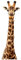 Bilderwelten Wandtattoo Giraffenkopf Wandtattoo Wandsticker Afrika Safari Giraffe Tiere, Größe HxB:250cm x 79cm