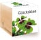 Feel Green 296275 Ecocube Glücksklee, Nachhaltige Geschenkidee (100% Eco Friendly), Grow Your Own/Anzuchtset, Pflanzen Im Holzwürfel, Made in Austria, natural