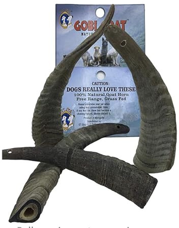 QT Dog Small Gobi Goat Horn (Pack of 4) - Long-Lasting 100% All-Natural Dog Chew, Ethically Sources Protein-Packed & Low Fat Dental Chews, Ideal for All Breeds & Aggressive Chewers