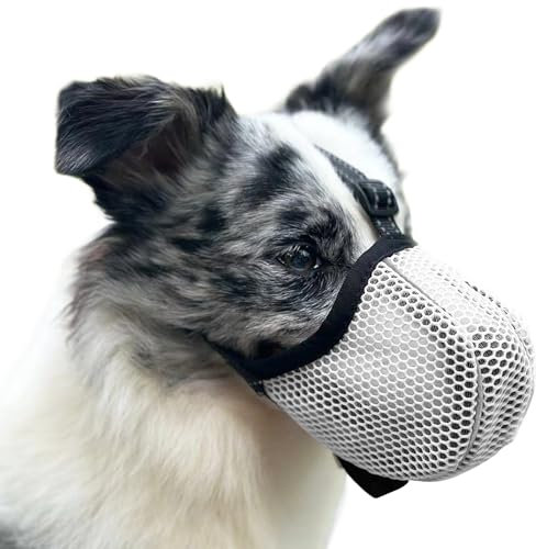 Maulkorb für Große Hunde, Prevent Kauen/Fressen/Beißen Hunde Maulkorb, Atmungsaktiv Reflektierende Einstellbare Maulkorb Mittlere Hund (Grau, S)