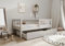 TIMBEE - Alfi Box - Kinderbett 90x200 mit Schublade - Bett Grau - Einzelbett für Kinder mit Lattenrost und Rausfallschutz Abnehmbar - Belastbar bis 100 kg - aus Kiefernholz Klasse 1