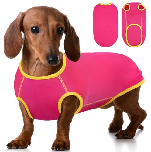 Hjyokuso Dackel Pullover - Hundepullover mit Fleece für Dackel & Kleine Hunde