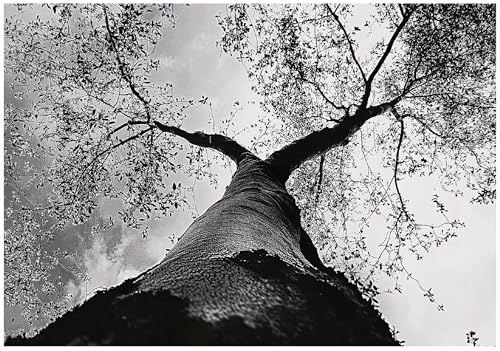 WallArena - Papier peint panoramique intissé Arbre 400x280 cm - Papier peint photo non tissé - Pour salon et chambre à coucher - Effet 3D - Avec colle - branches de la nature en noir et blanc