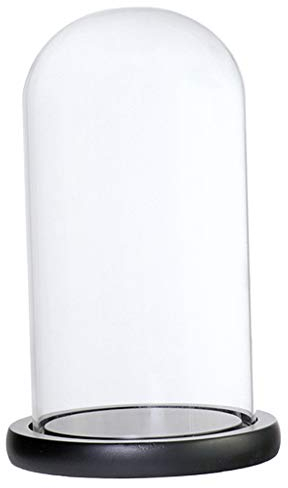 KESOTO Transparent Glasglocke Glashaube Glaskuppel Glasabdeckung mit Holzsockel - Schwarzes D