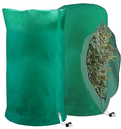HOOPOE 2 Pièces Voile D'hivernage,Voile Hivernage Plante Exterieur 80x60cm,Housse Hivernage Plante Exterieur avec Cordon de Serrage à Glissière,Housses de Protection pour Plantes