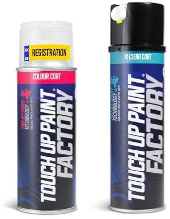 Touch Up Paint Factory - Aerosol Scratch Repair Kit Mixed by Reg Registration Plate Car Touch Up Paint for All Models - Exact Match Guarantee - Lite (Small)