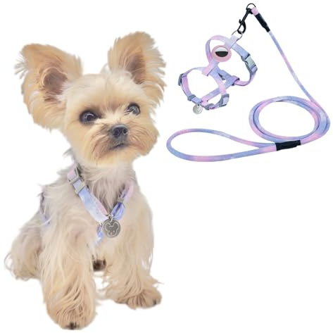 YorkieGogo No Pull Dog Harness and Leash with AirTag Holder for Small/Teacup Cats & Dogs, Cooling & Light Weight Vest, Perfect for Summer, XXS (Purple, Small)