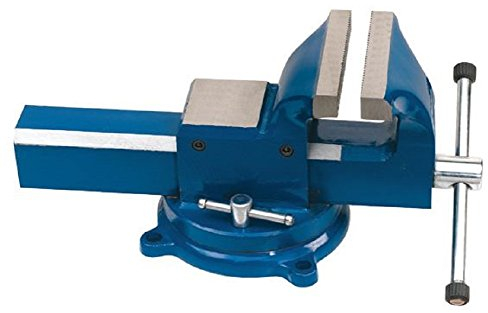 Tornillo de banco giratorio de acero Fervo 0036/125g