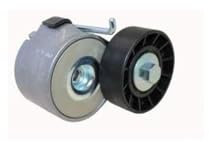 Dayco APV1150 Tensor de Correa, Correa Poli V