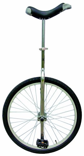 ANLEN Einrad 24 Zoll, schwarz
