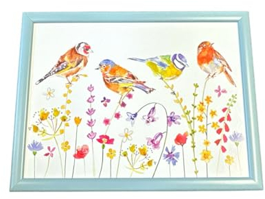 Cushioned Laptrays Lap Tray TV Dinner Bean Bag Padded Cushion Gift (Garden Birds Laptray)
