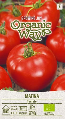 Organic Way | TOMATEN MATINA samen | Gemüsesamen | Tomatensamen | Garten Samen | Eine frühe Tomatensorte, hohe Tomatenstengeln | 1 Pack