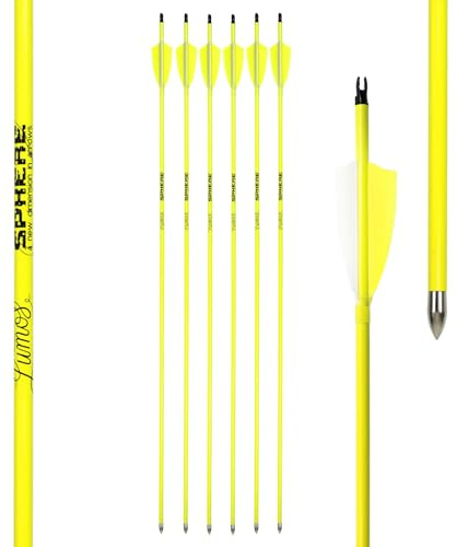 Sphere 6 Stück Carbonpfeile 30 Zolll 32 Zoll Jagdpfeile Leuchtpfeile Bogenpfeil mit Pfeilspitze für Recurvebogen Compoundbogen Pfeile für Anfänger und Profis Neon Gelb und Orange
