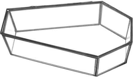 IMIKEYA Halloween Schwarzer Glas Sarg Box Deckel Mini Gothic Sarg für Schmuck Snack Lagerung