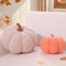 Yhoelata Kürbis Kissen, 2er-Set Kürbisform Dekokissen, Plüsch Zierkissen Aesthetic Sofakissen Teddy Fleece Kissen, Bett Kuschelkissen Runden für Kind Schlafzimmer Geschenk, 20 & 30 cm