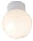 Envirolite 100W Bathroom Compliant Ceiling Globe - White