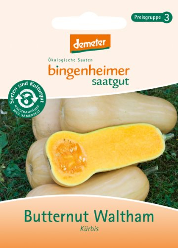 Kürbis Butternut Waltham