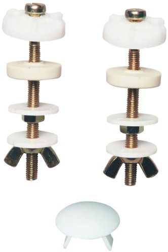 Wirquin 10724092 Vis pour réservoir cuvette M21 en inox longueur 8 cm et largeur 1 cm, blanc