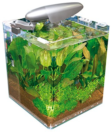 Wave Acquario Box cubo 25 25x25x30h 16 lt con Filtro e Lampada
