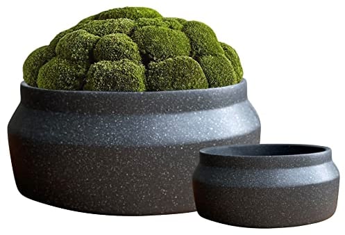 Shallow Plant Pots Set 2 Succulent Plant Pots Round Ceramic Planters Indoor Cactus, Bonsai, Succulents Flower Pots Wide Plant Pot Bowl Indoor Planters
