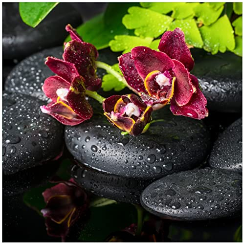 Wallario Glasbild Dunkelrote Orchideen-Blüte auf schwarzen Steinen mit Regentropfen - 55 x 55 cm Wandbilder Glas in Premium-Qualität: Brillante Farben, freischwebende Optik