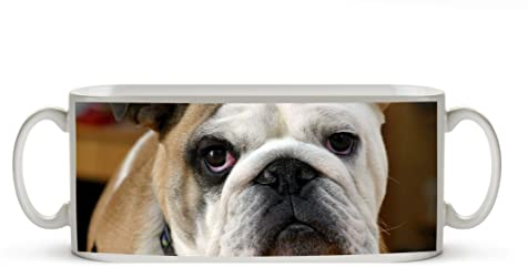 Effetto bulldog inglese: nero/bianco come tazza da 300 ml, in ceramica bianca, meravigliosa come idea regalo o la vostra nuova tazza preferita.
