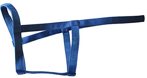 Rhinegold 30 DE Field Safe Halfter, Pony, Türkis