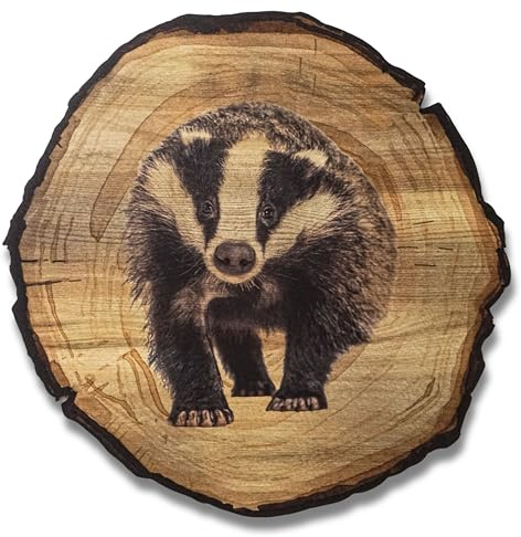 DARO Design - Wandbild Dachs Größe 20cm - Kunstdruck aufhängefertig - Wanddekoration Thema Jagd, Natur, Tiere