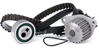 INA 530 0016 30 Wasserpumpe + Zahnriemensatz Zähnezahl: 20 22 mm mit Dichtung Kompatibel mit PEUGEOT 206 Schrägheck 2A/C 307 3A/C 307 SW 3H, CITROËN Berlingo/Berlingo First MF, GJK, GFK