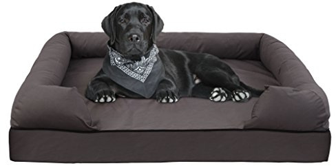 Sapphire Collection Memory Foam Dog Bed for Small Medium & Large and Jumbo Dogs (Jumbo, Grey)