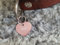 Gravuren.store 2 Stück Hunde-Katzenmarke Herz, Adressanhänger aus Aluminium, (24,5mm X 20mm S, Rose)